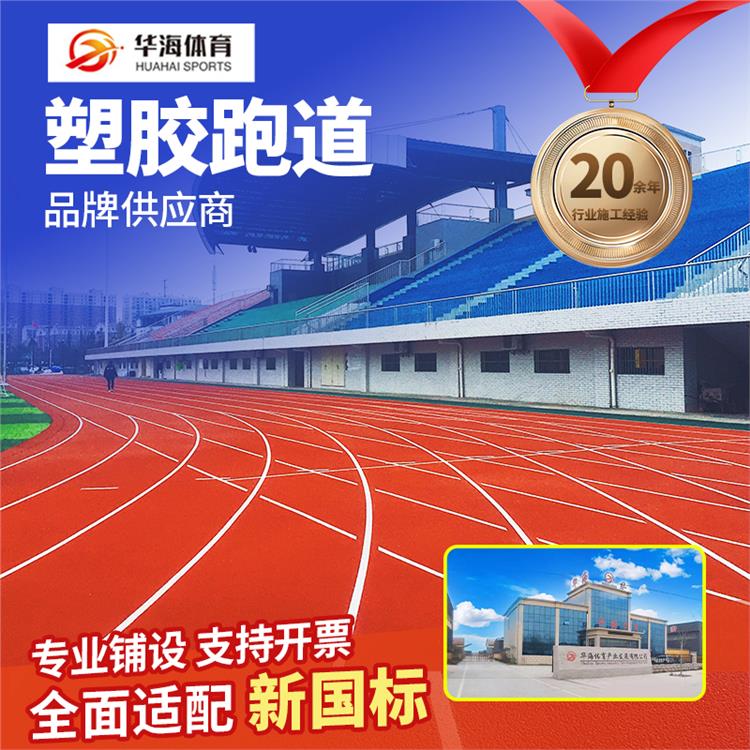 攀枝花市人造草坪预制跑道卷材 - 厂家